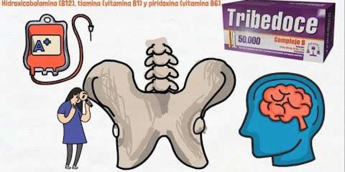 Top Mejores gelatinas según la OCU 【2024】