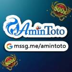 AMINTOTO profile picture