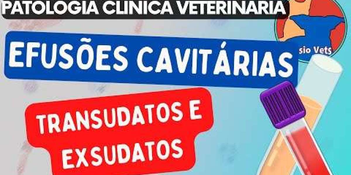 Entendendo o Exame de Parvovirose: Diagnóstico e Tratamento que Salvam Vidas de Animais